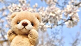 綿詰めからお鼻作りまで