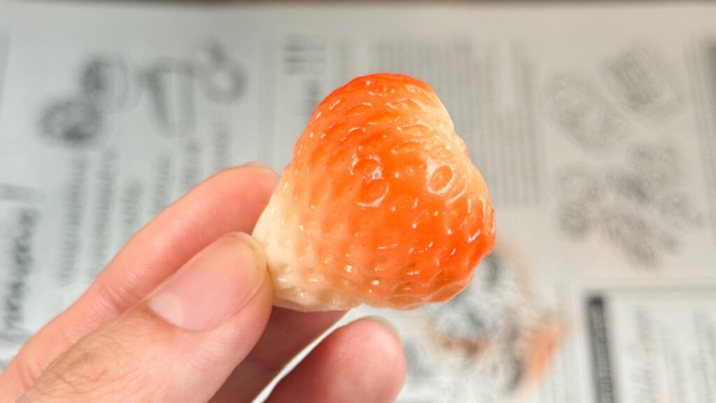 いちごの着色一層目の見本