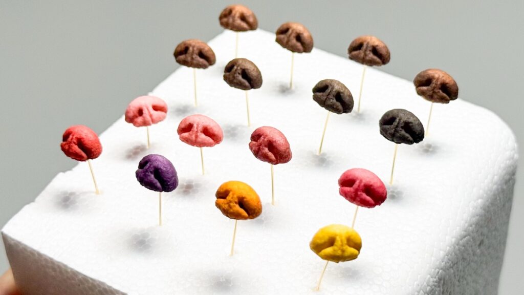 色を塗ったテディベアの鼻のパーツ